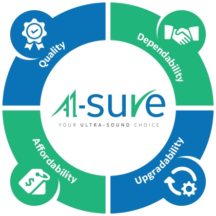 A1sure_graphic02